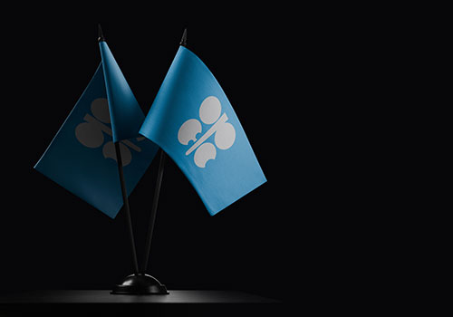 PE2904_OPECflag_home.jpg
